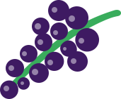 Vino